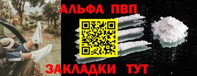 СК Бийск