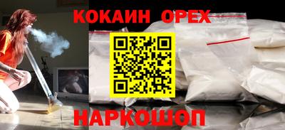СК Бийск