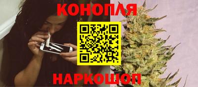 СК Бийск