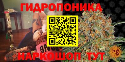 СК Бийск
