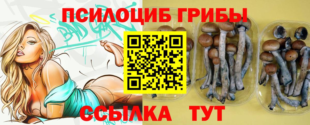 Псилоцибиновые грибы GOLDEN TEACHER Вышний Волочёк