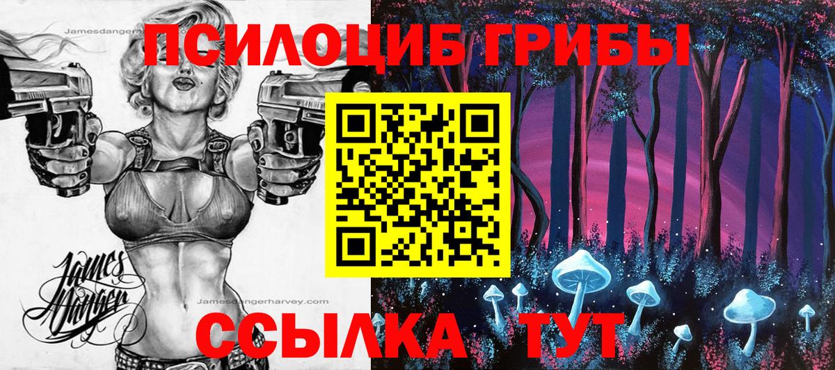 Галлюциногенные грибы ЛСД Вышний Волочёк