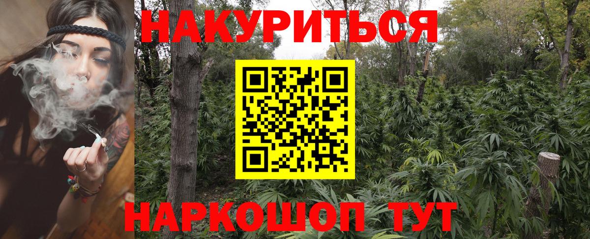 Шишки марихуана Amnesia Вышний Волочёк